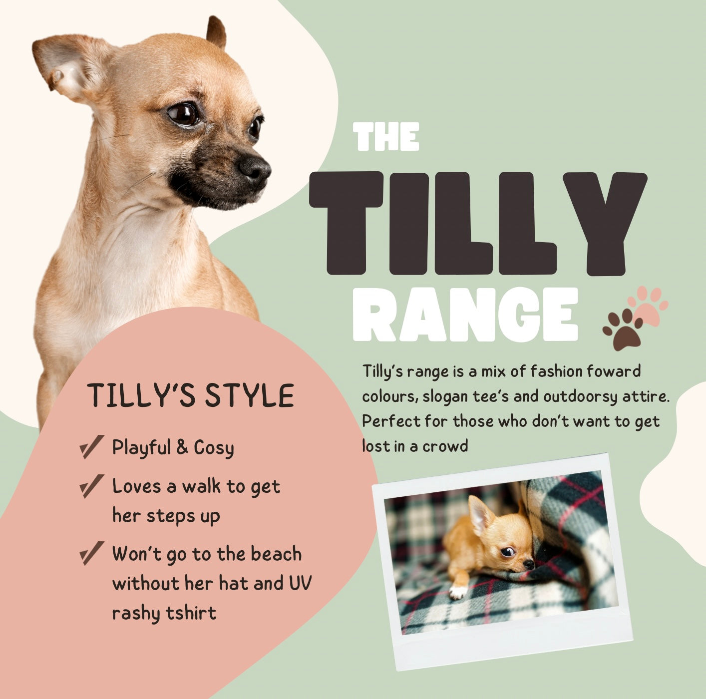 Tilly’s Range