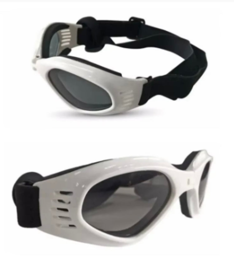 Eyewear