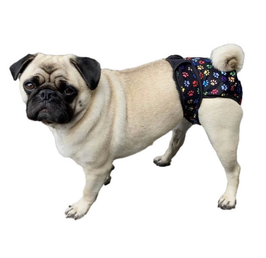 Sanitary Pants - Medi Petz