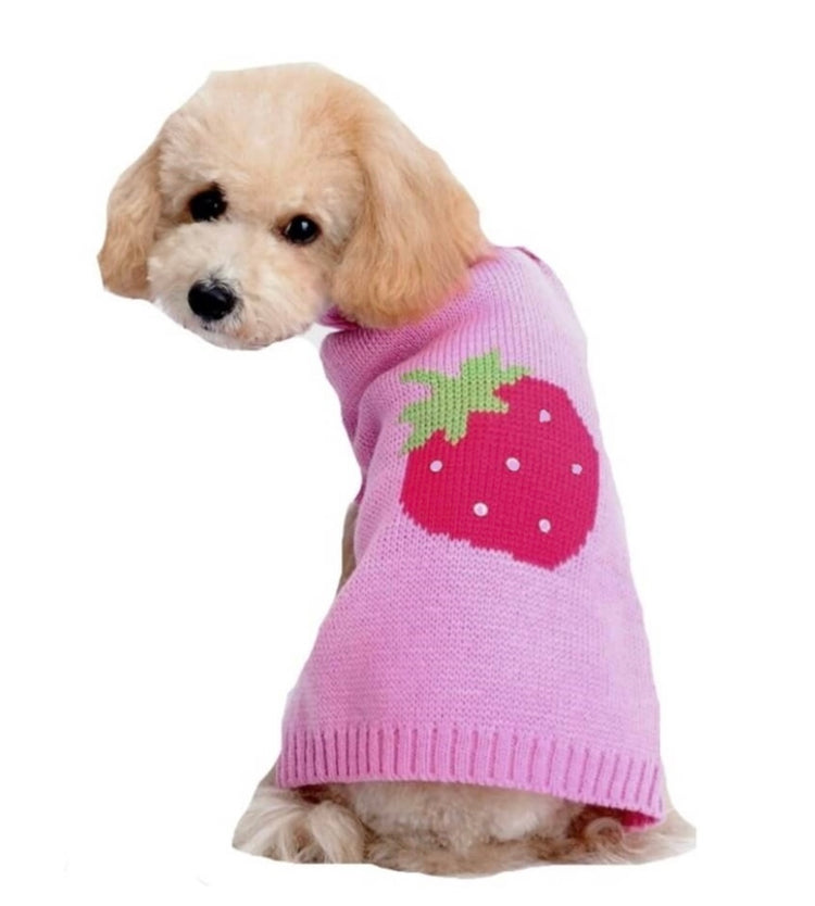 Sweaters & Cardigans