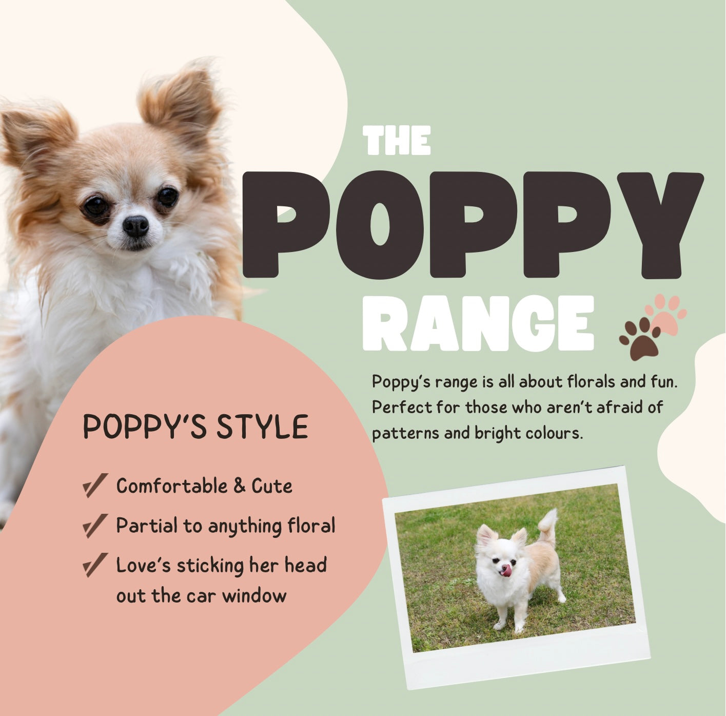 Poppy’s Range