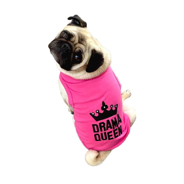 T-Shirts & Collar Shirts