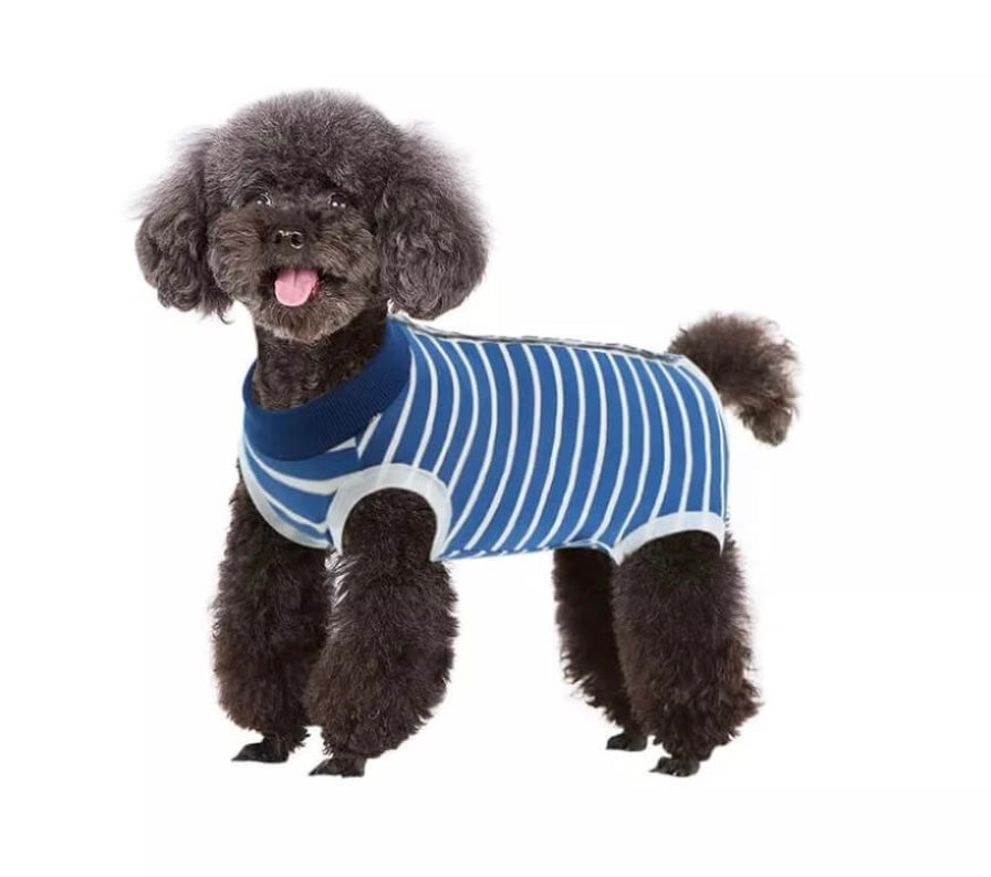 Dog Recovery Suits - Medi Petz