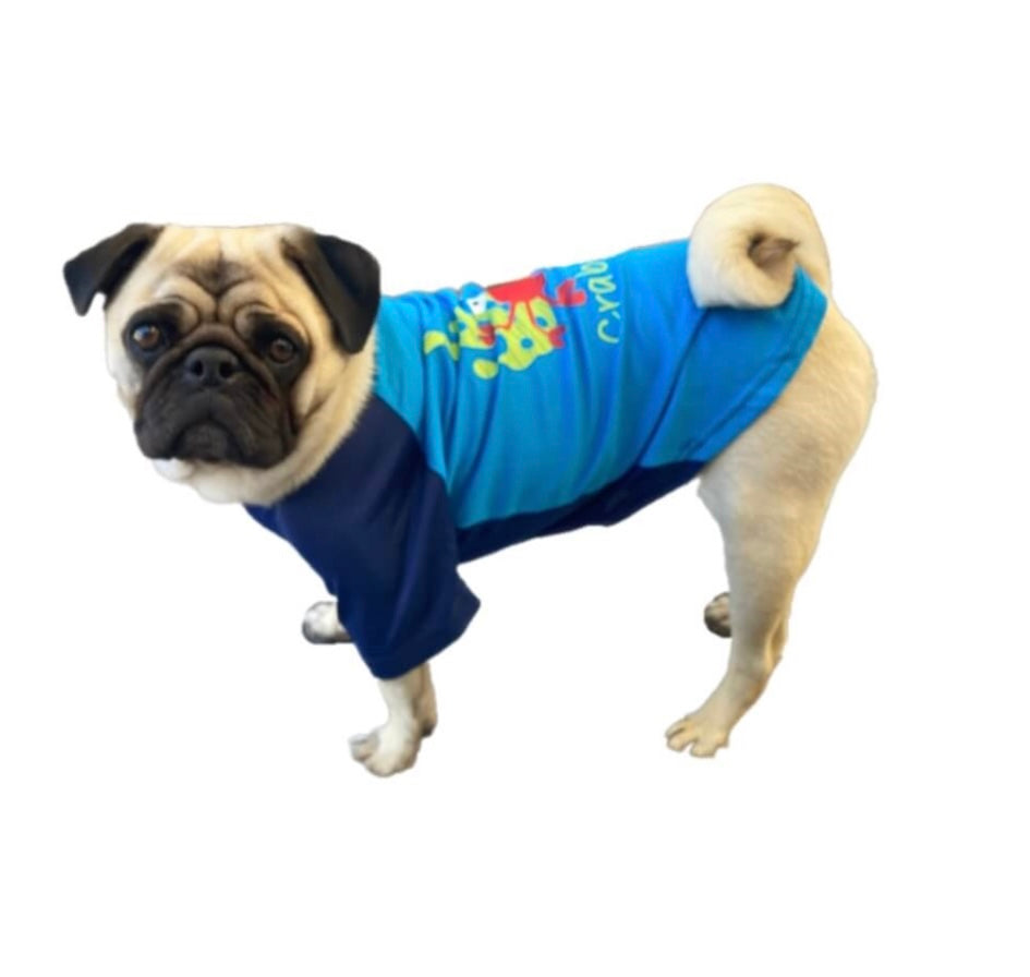 Rash Shirt Blue Crab Sun Protection 40+ SPF