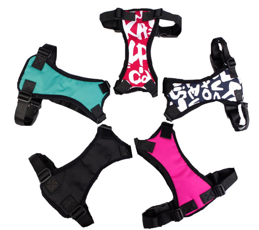 Car Harness with Restraint Belt