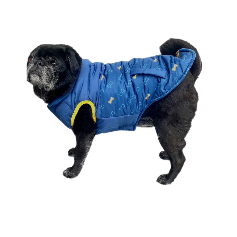 Coat Blue Bone Reflective