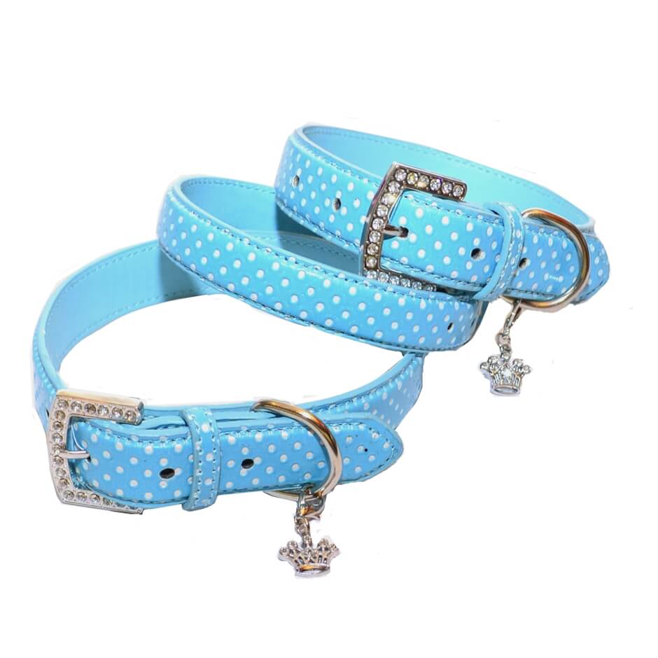 Collar or Lead Polka Dot