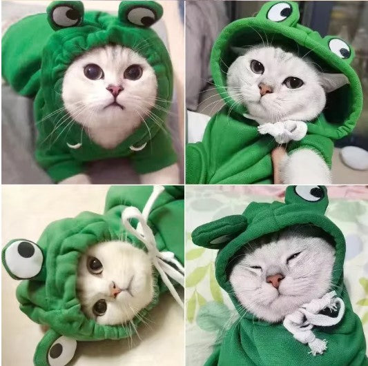 Cat Hoodie Fleece Green Frog