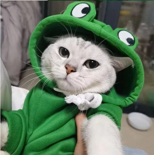 Cat Hoodie Fleece Green Frog
