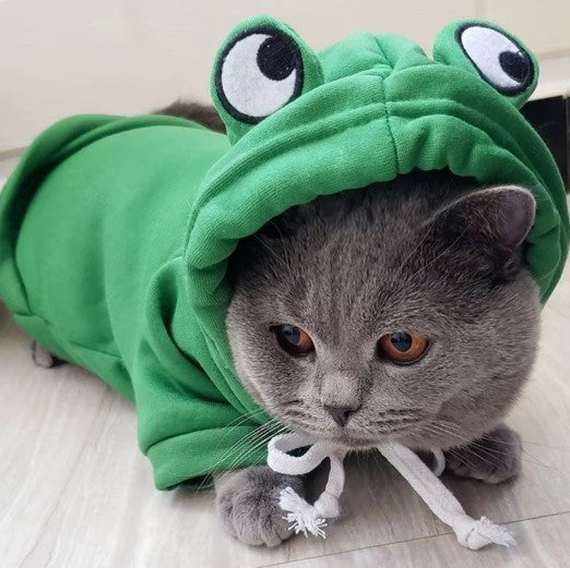 Cat Hoodie Fleece Green Frog