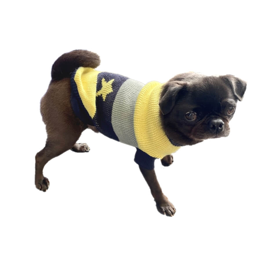 Sweater Stars and Stripes