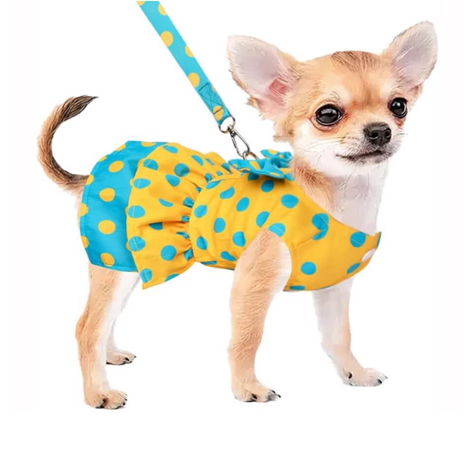 Dress Sunshine Spots with Matching Lead