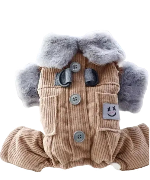 Dog outfit with a coat and fluffy ears on a white background