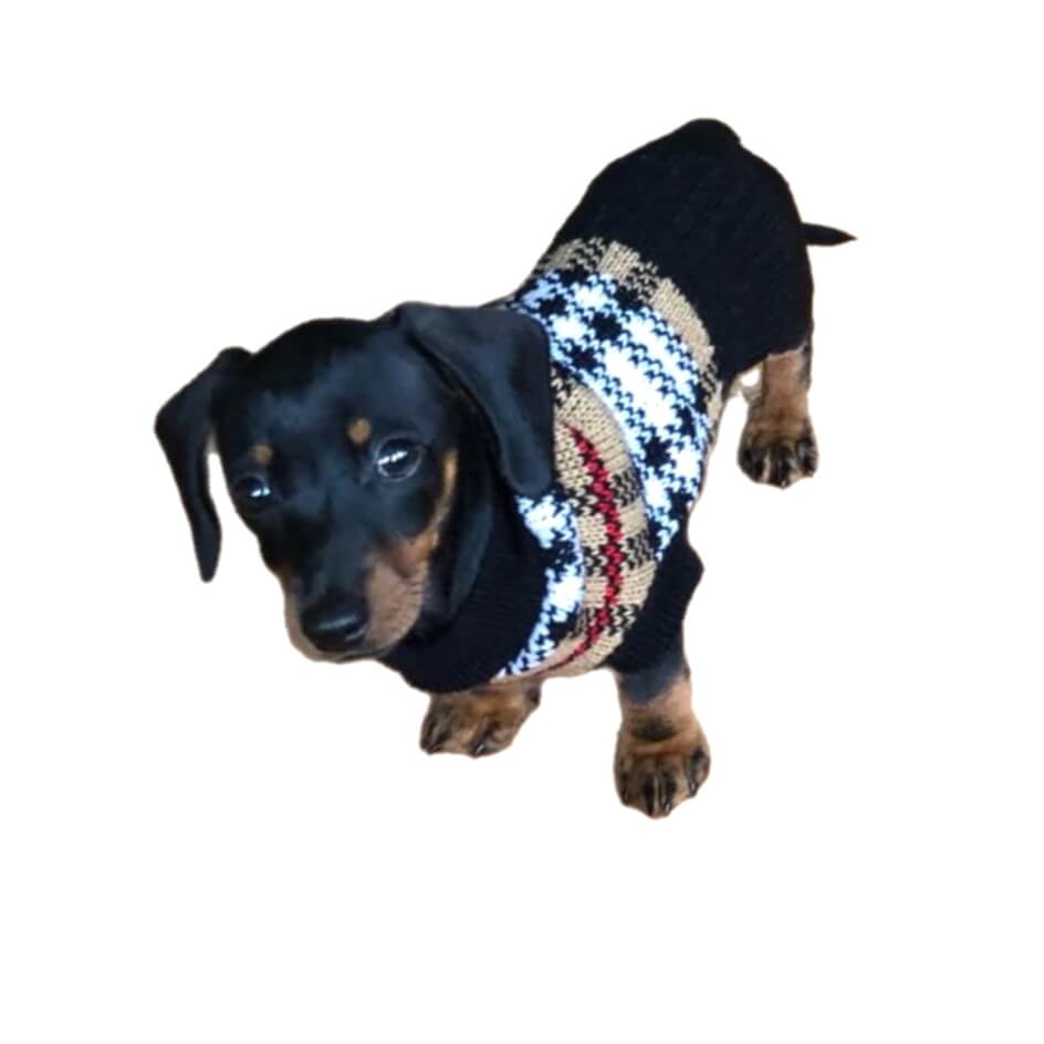 Sweater Tan Tartan