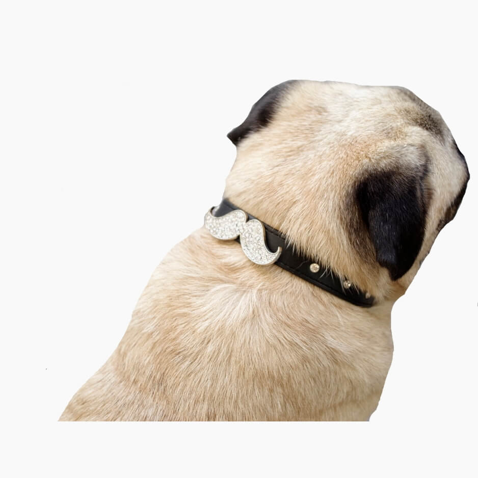 Collar Rhinestone Moustache