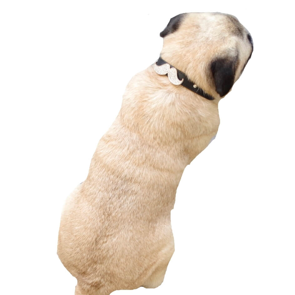 Collar Rhinestone Moustache