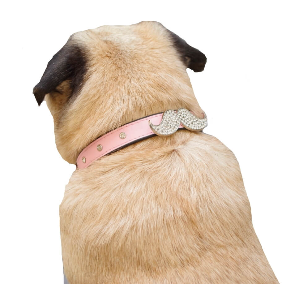 Collar Rhinestone Moustache