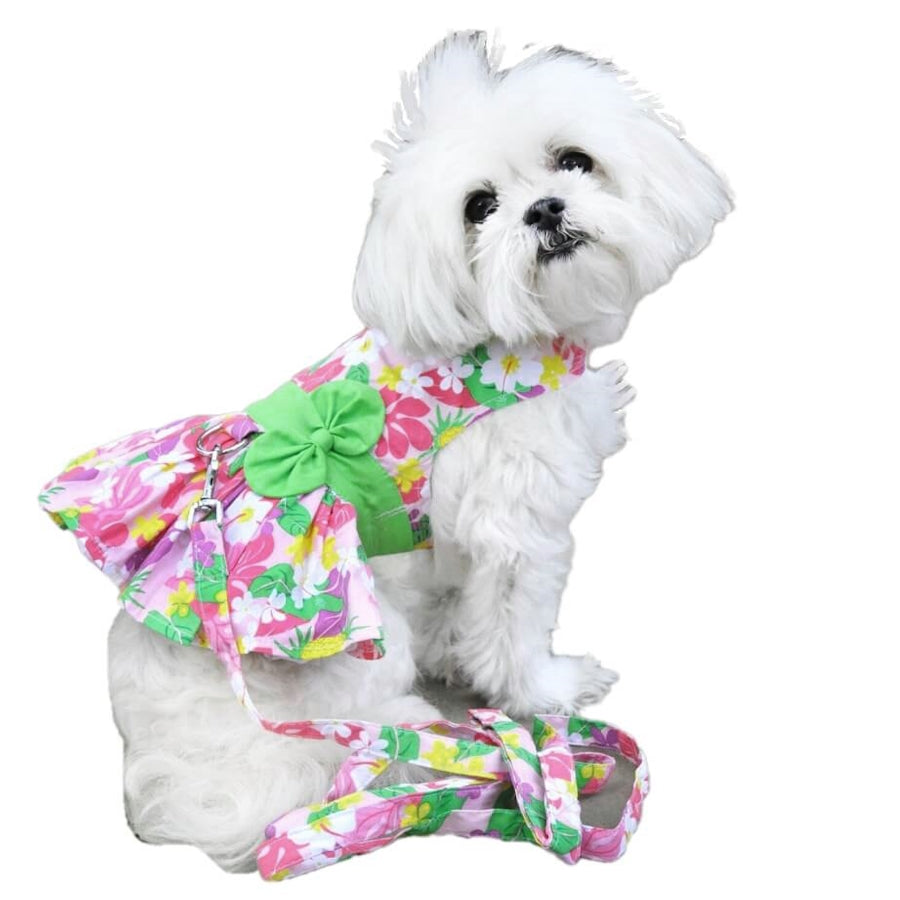 Dress Pink Floral Garden with Matching Lead