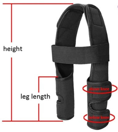 Front Legs Knee Support