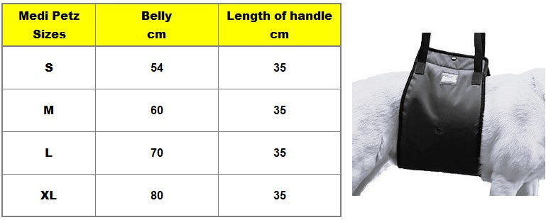 Lift Support Harness with handle