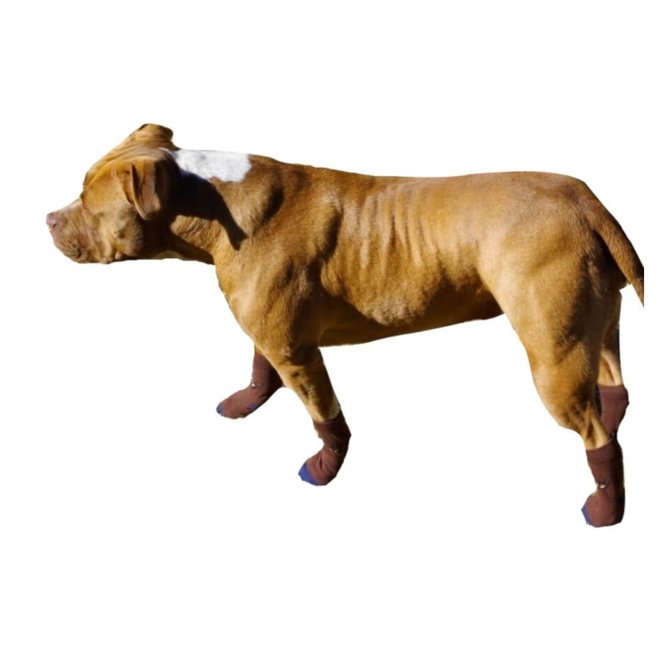 Large Paw Non-Slip Socks Brown Bee