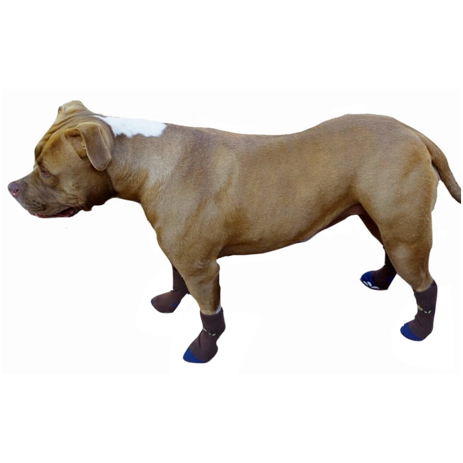 Large Paw Non-Slip Socks Brown Bee