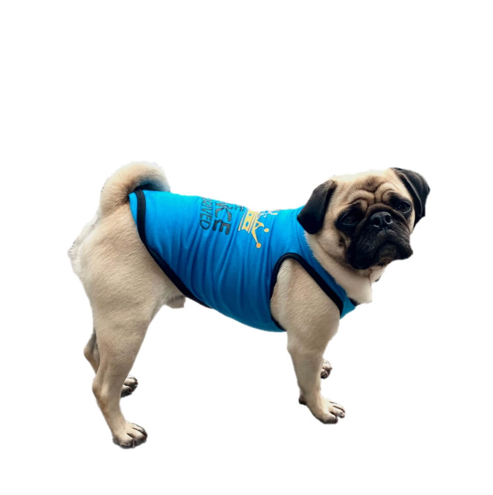 Shirt Princess or Prince Has Arrived