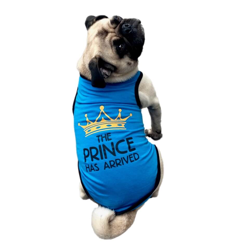 Shirt Princess or Prince Has Arrived