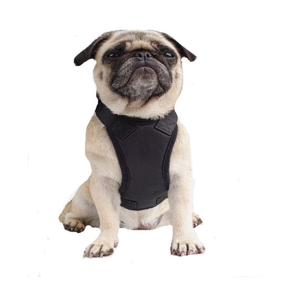 Car Harness with Restraint Belt