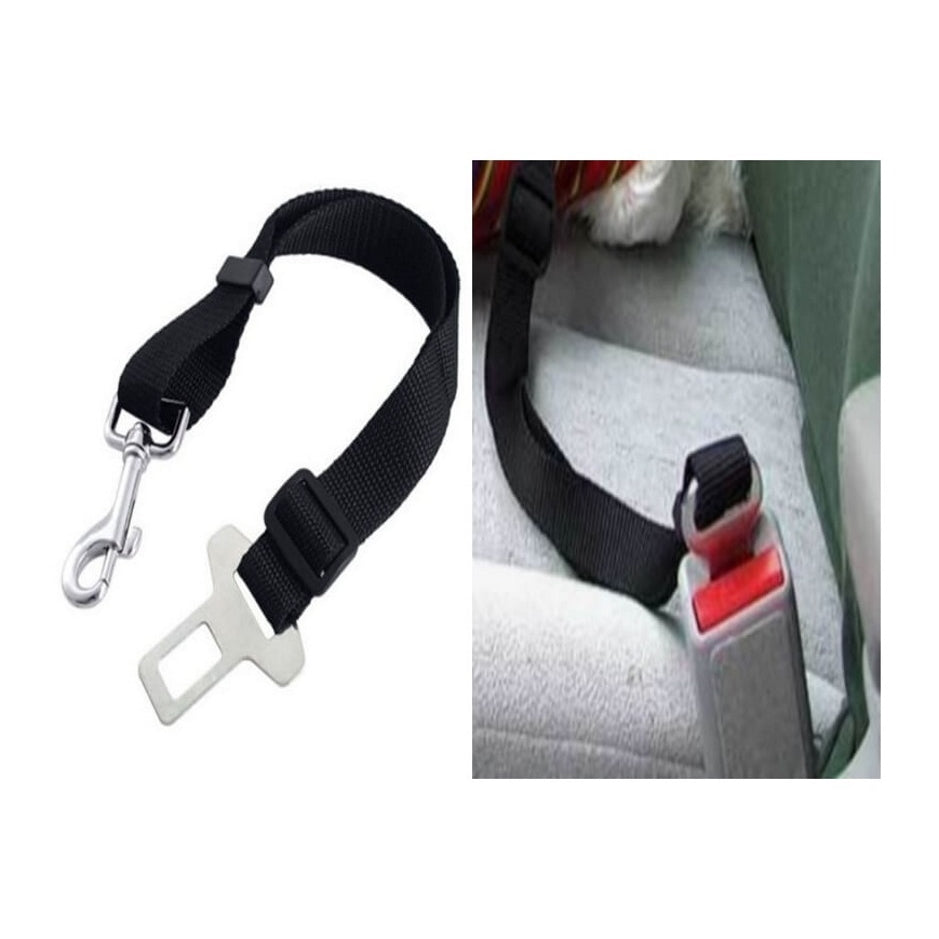 Car Harness with Restraint Belt