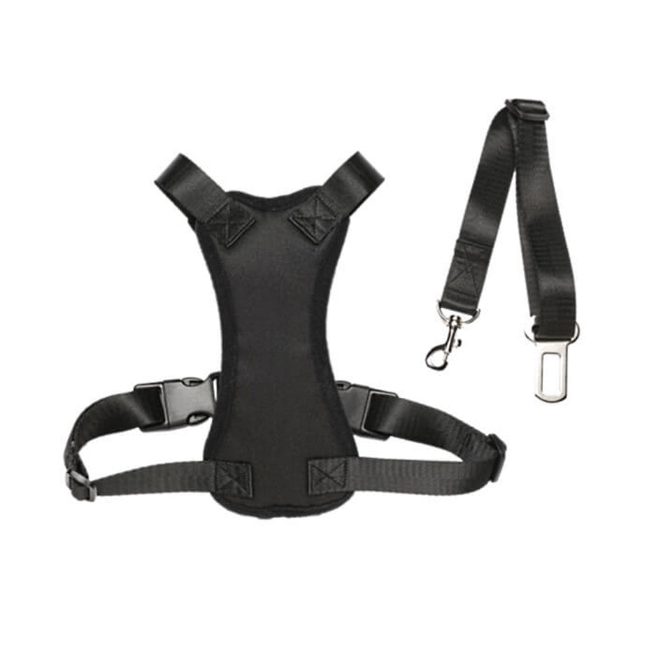 Car Harness with Restraint Belt