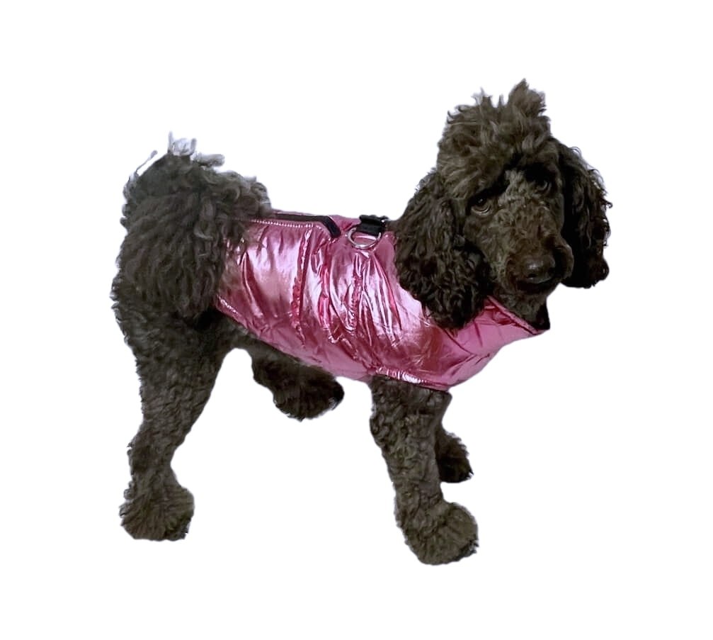 Coat Shiny Pink Puffer Parka