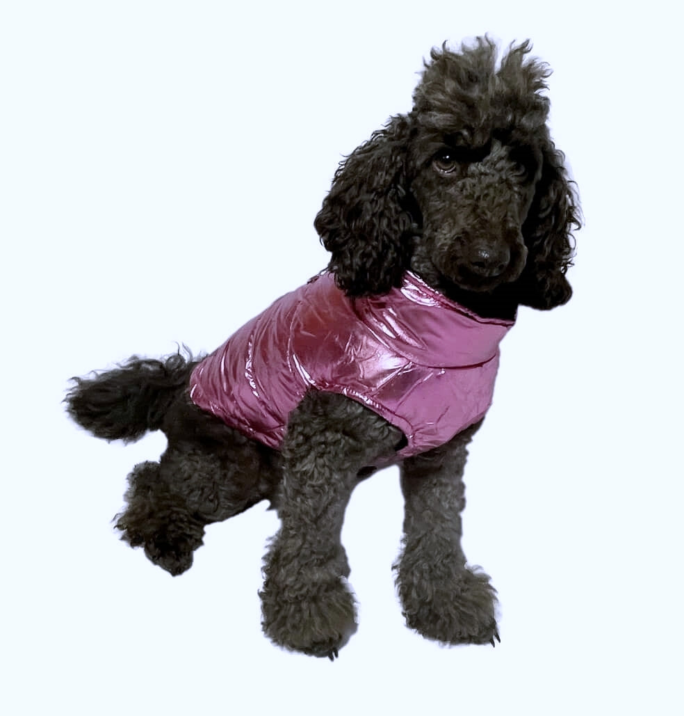 Coat Shiny Pink Puffer Parka