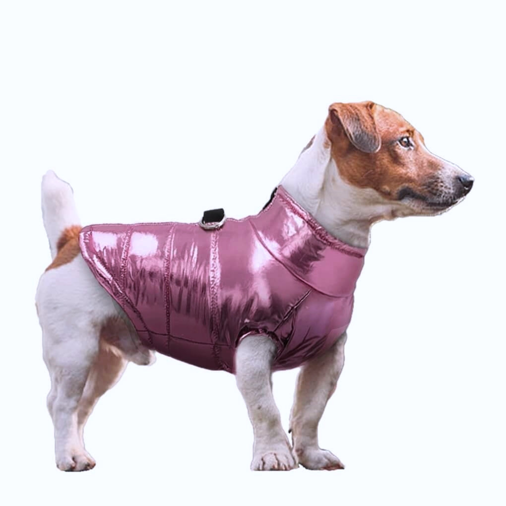 Coat Shiny Pink Puffer Parka