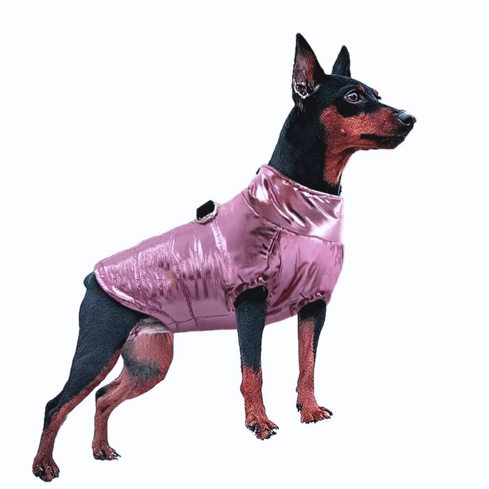 Coat Shiny Pink Puffer Parka