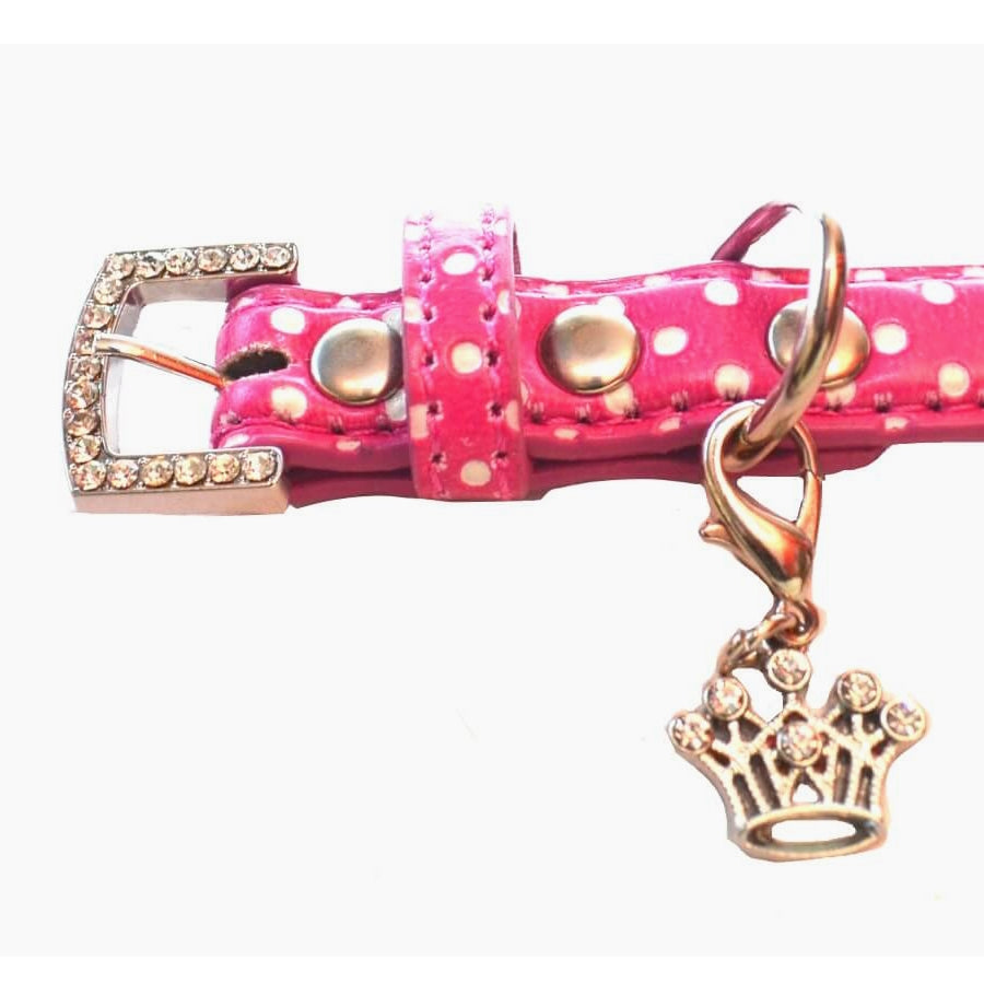 Collar or Lead Polka Dot