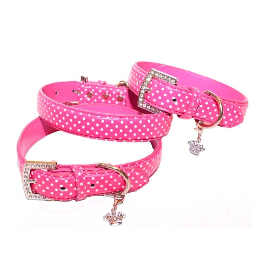 Collar or Lead Polka Dot