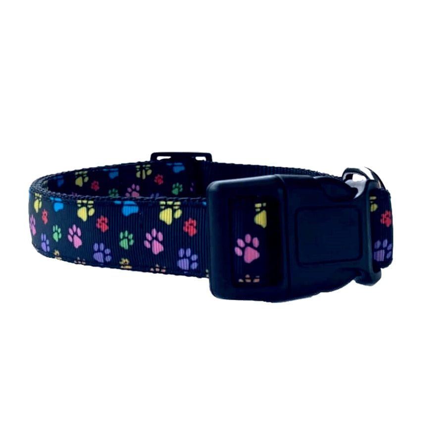 Luxury Collar or Lead Webbed Colourful Paws