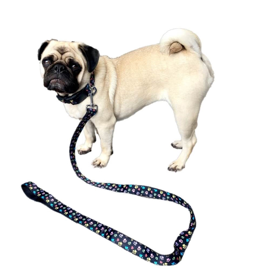 Luxury Collar or Lead Webbed Colourful Paws
