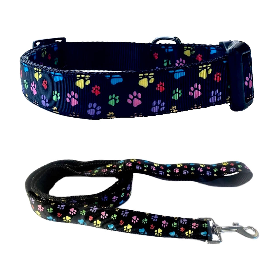 Luxury Collar or Lead Webbed Colourful Paws