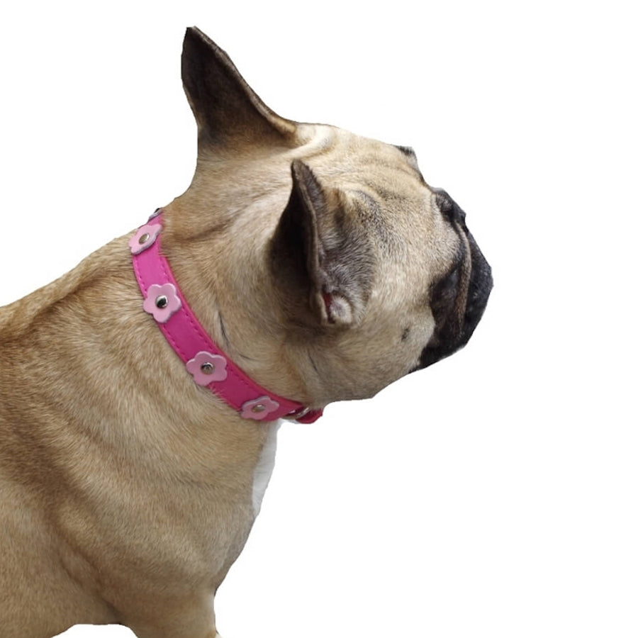 Collar Pink Flowers