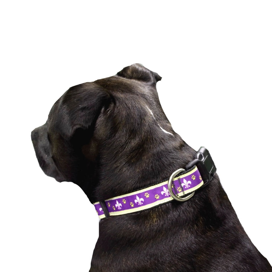 Luxury Collar Webbed Purple Fleur De Lis