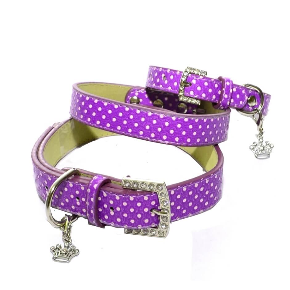 Collar or Lead Polka Dot