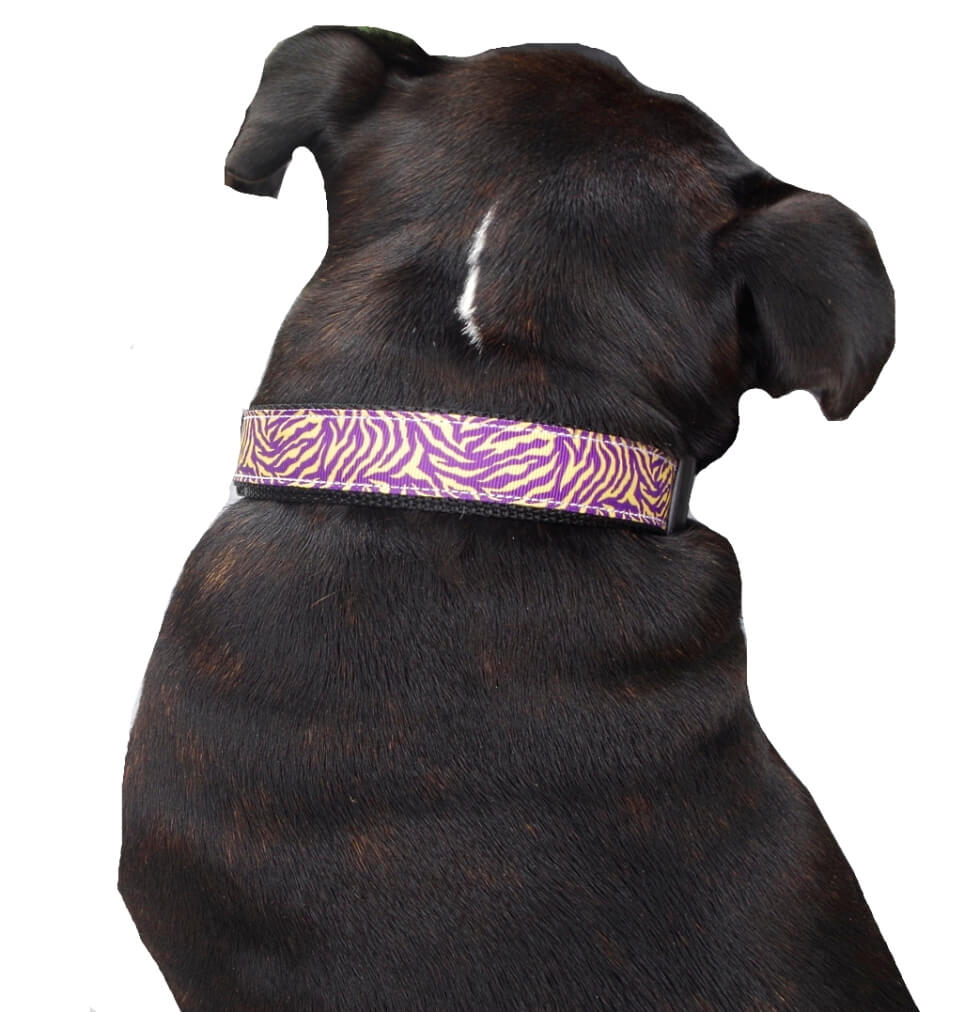 Luxury Collar or Lead Webbed Purple Tiger