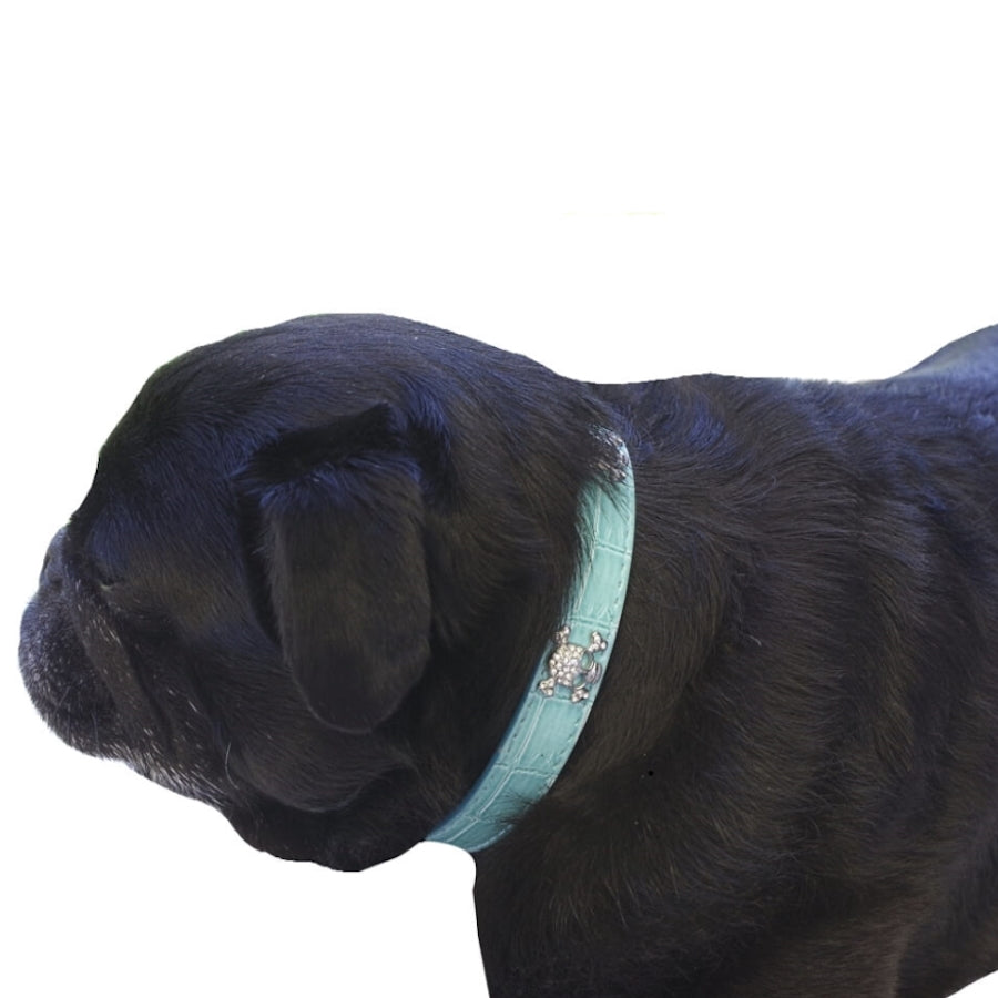 Collar Rhinestone Skulls Blue