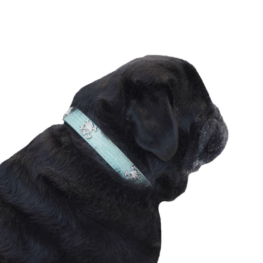 Collar Rhinestone Skulls Blue