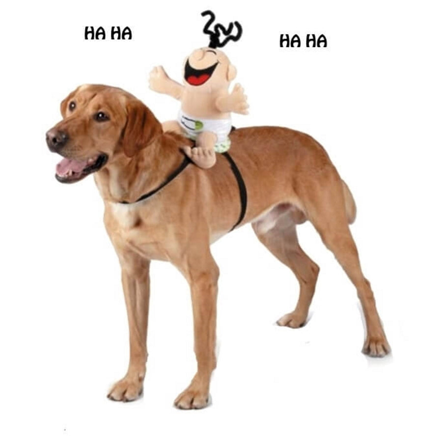 Dress Up Costume Laughing Baby