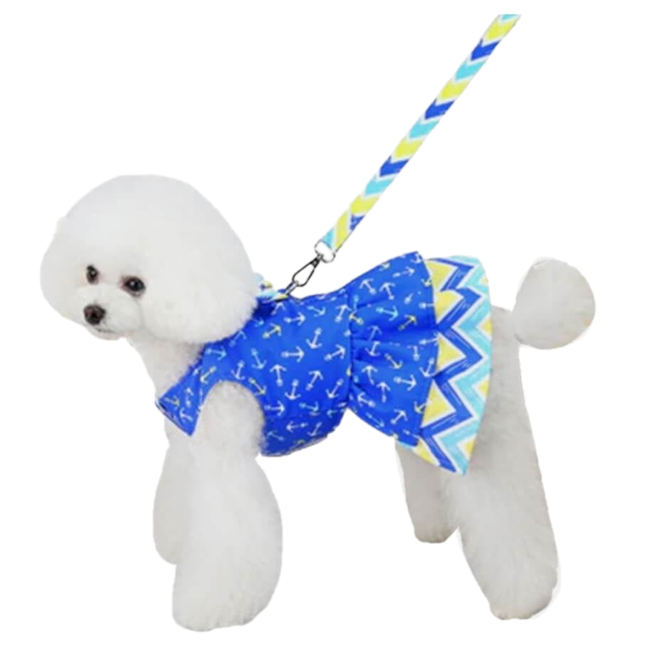 Dress Blue Anchors Away with Matching Lead