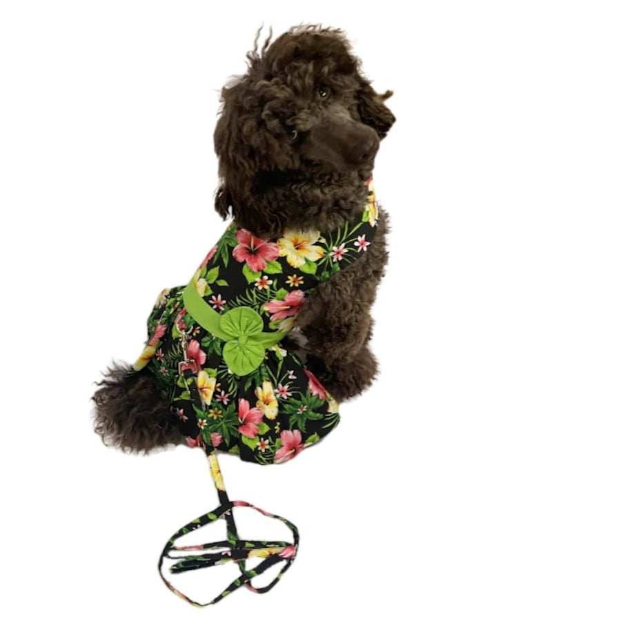 Dress Black Hawaiian Hibiscus with Matching Lead