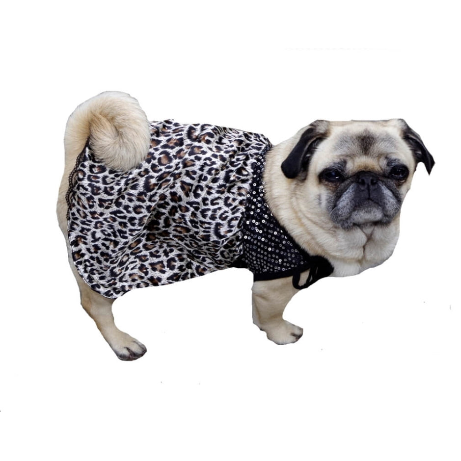 Dress Slinky Leopard with Pearl Necklace